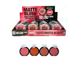 BLUSH POWDER MATTE 24/U 13328B