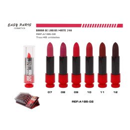 BARRA DE LABIOS MATTE 24 H 48/U