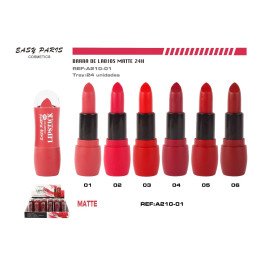 BARRA DE LABIOS MATTE 24H 24/U