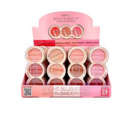 BRIGHT BLUSHER KIT 24/U 13319A DD