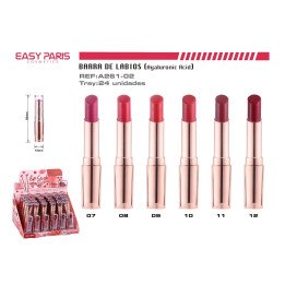 B.DE LABIOS 24H C/ACID.HYALURONICO 24/U