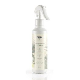 PRADY AMB.HOME SPRAY FOCUS 220ML