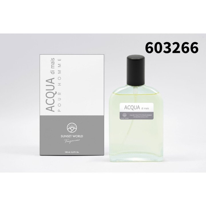 ACQUA DI MAIS HOMME 100ML